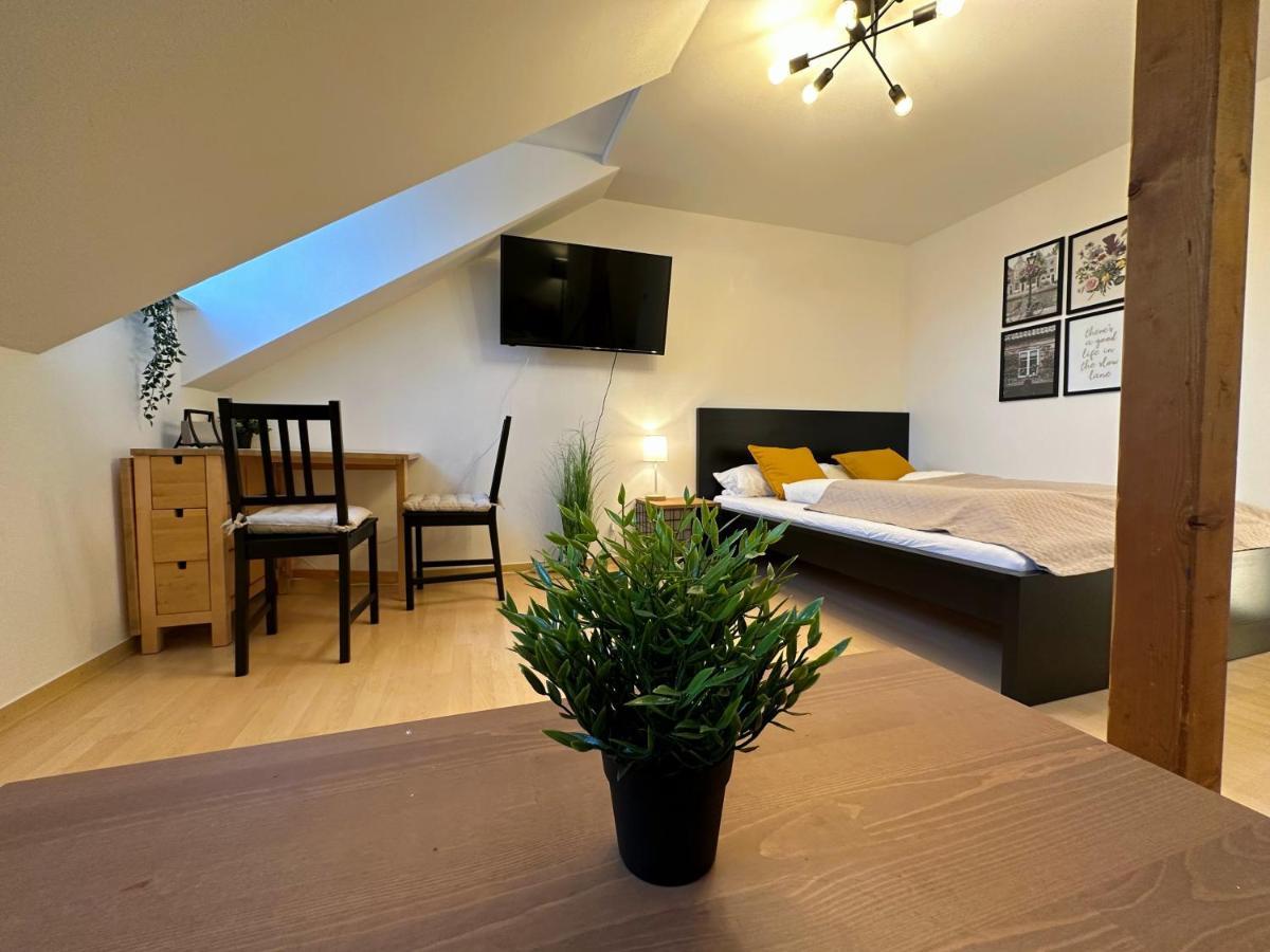 Gemuetliche, Charmante Ferienwohnung Naehe Zentrum 플라우엔 외부 사진