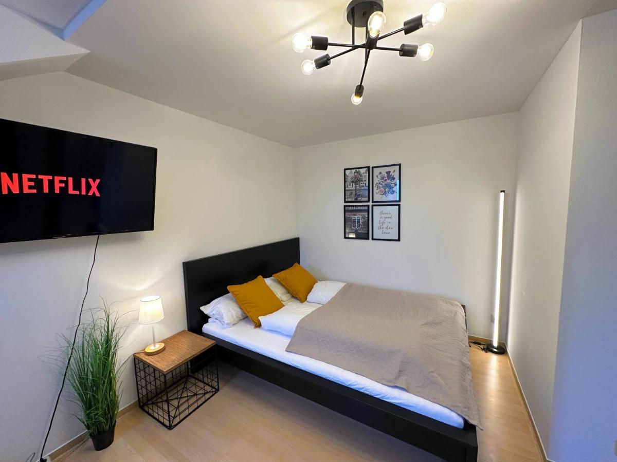 Gemuetliche, Charmante Ferienwohnung Naehe Zentrum 플라우엔 외부 사진
